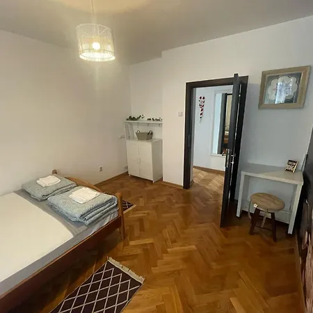 Deluxe Vracar Apartment